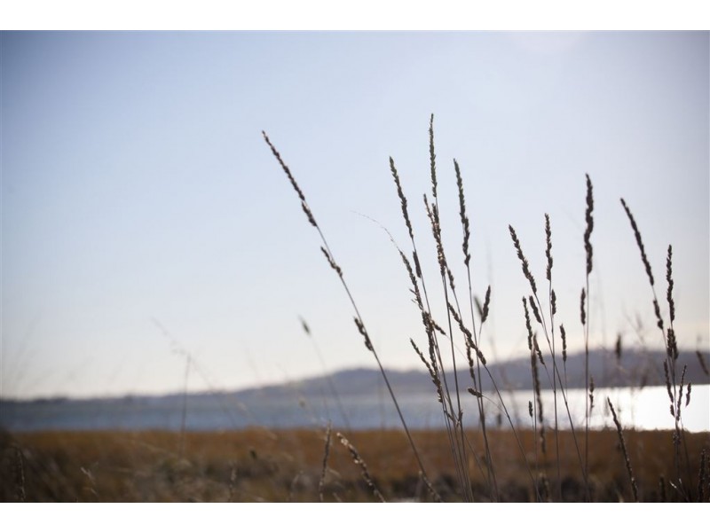 1024 Windermere Road, Swan Bay TAS 7252