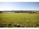 1024 Windermere Road, Swan Bay TAS 7252