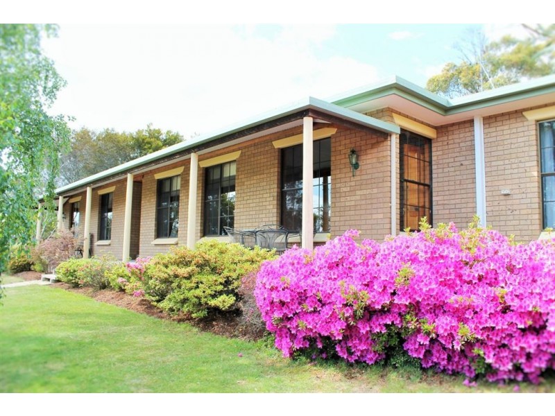 113 Blackstone Road, Blackstone Heights TAS 7250