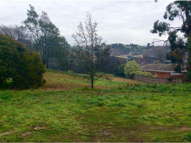 179 Punchbowl Road, Newstead TAS 7250