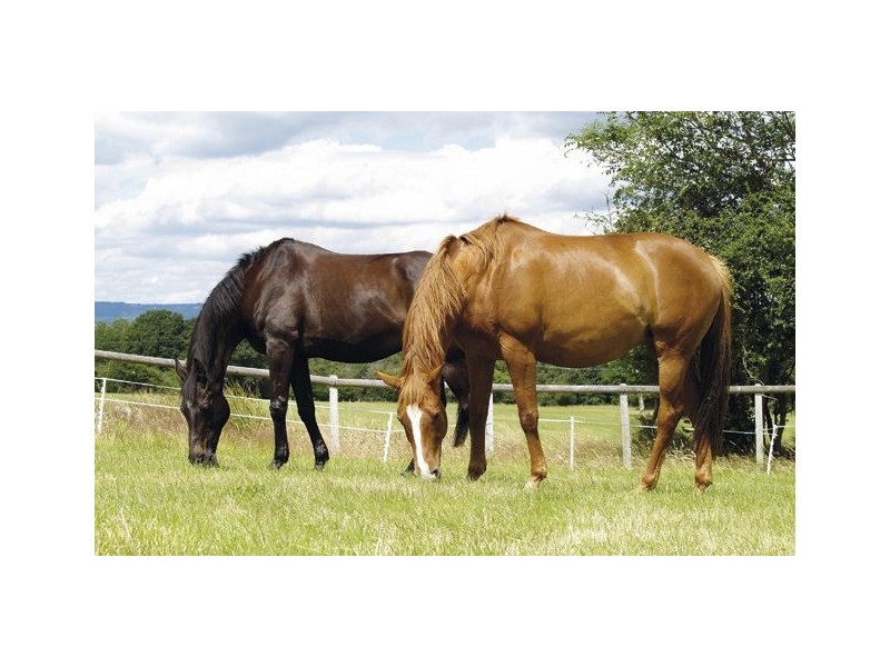 224 White Hills Road, White Hills TAS 7258