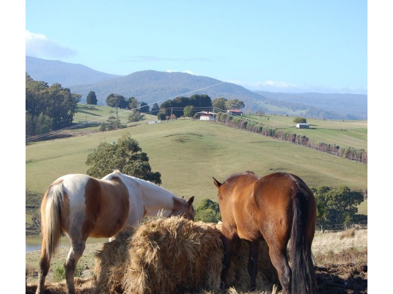 327 Rowleys Hill Road, Karoola TAS 7267