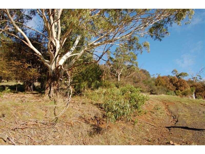 13 Basin View Drive, West Launceston TAS 7250
