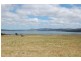 Lot 9 1024 Windermere Road, Swan Bay TAS 7252