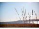 Lot 9 1024 Windermere Road, Swan Bay TAS 7252