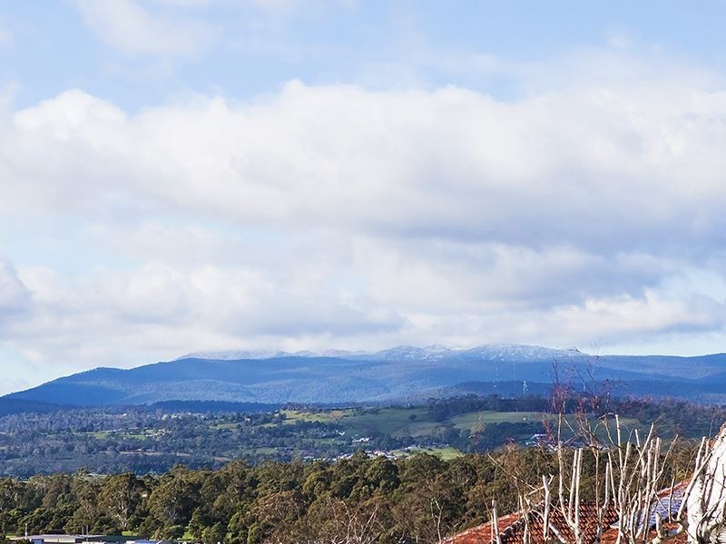 41 Shirley Place, Kings Meadows TAS 7249