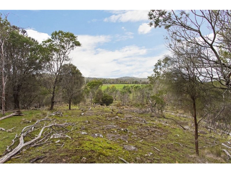 Distillery Creek, Tasman Highway, Nunamara TAS 7259