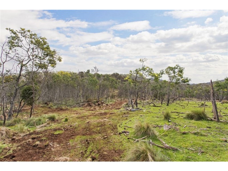 Distillery Creek, Tasman Highway, Nunamara TAS 7259