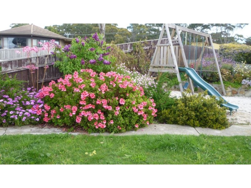 142 Oxford Street, Beauty Point TAS 7270