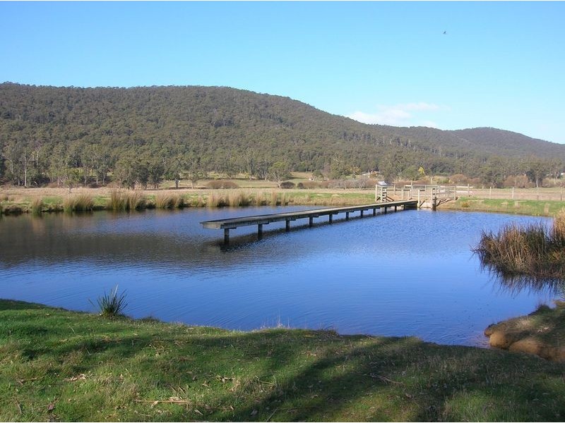 251 Flowery Gully Road, Flowery Gully TAS 7270
