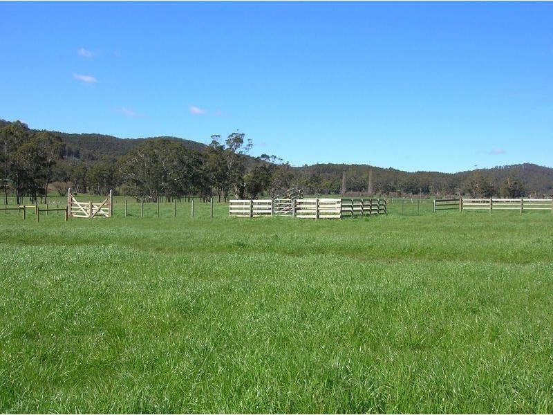 251 Flowery Gully Road, Flowery Gully TAS 7270