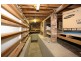 79 Granville Street, West Launceston TAS 7250