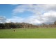 278 Bangor Road, Bangor TAS 7267