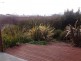 11 Totara Street, Riverside TAS 7250