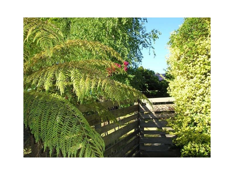 17 Mulgrave Street, South Launceston TAS 7249