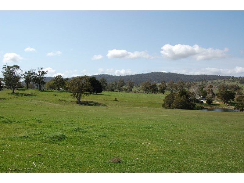 1129 East Tamar Highway, Dilston TAS 7252