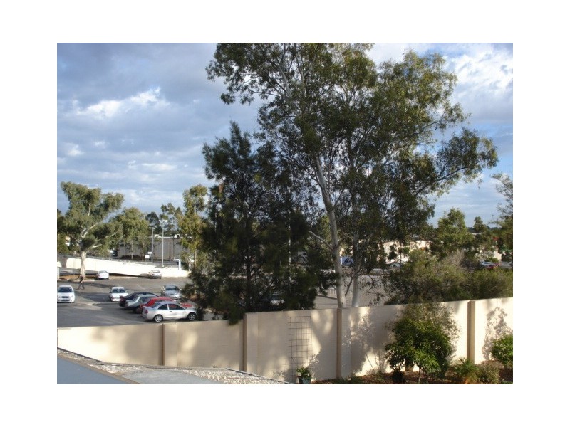 2 May Avenue, Modbury SA 5092