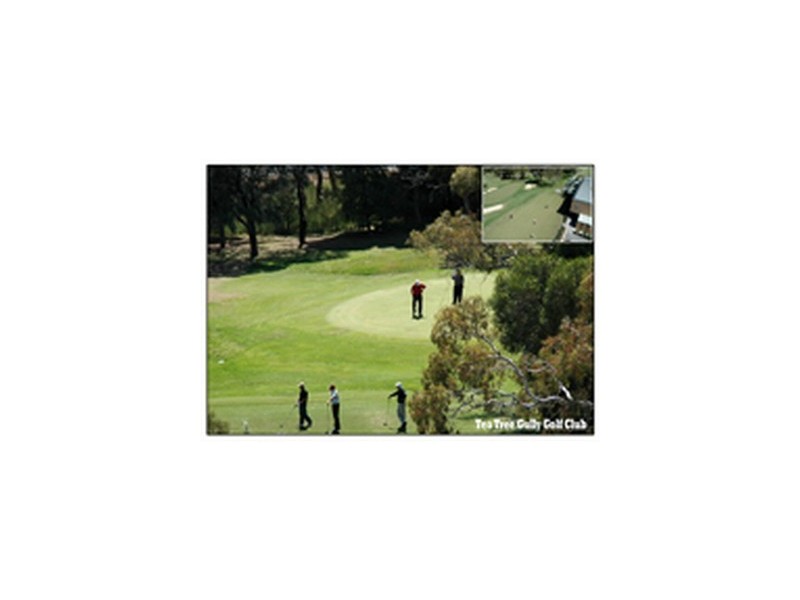 31 Golf Drive, Fairview Park SA 5126