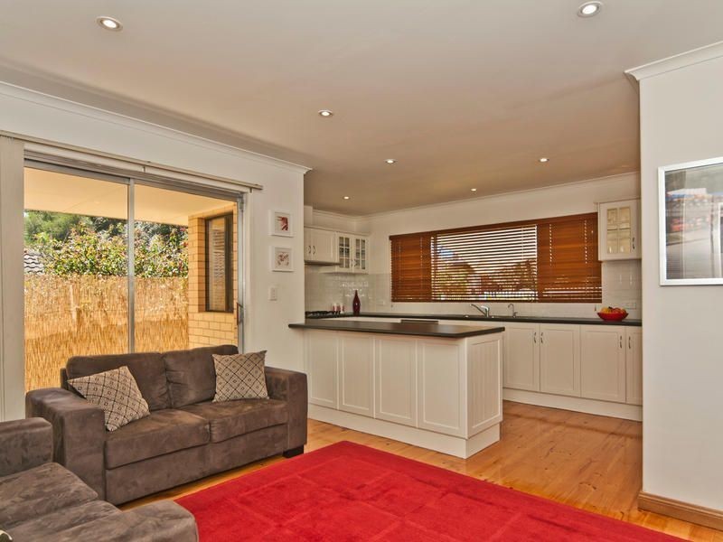 16 Euroa Avenue, Banksia Park SA 5091