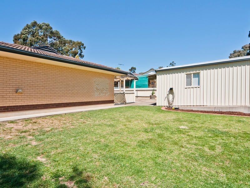 16 Euroa Avenue, Banksia Park SA 5091