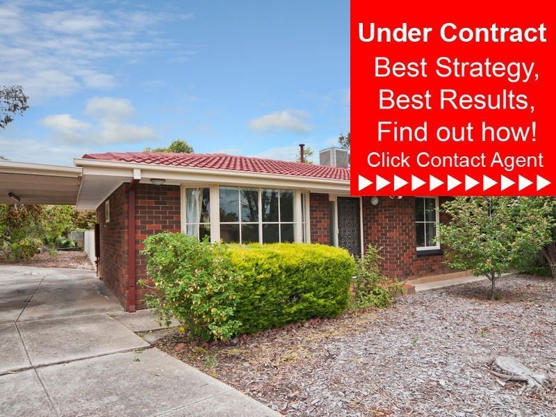 1 Palomino Parade, Wynn Vale SA 5127