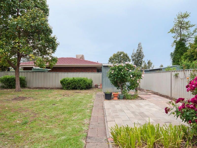 1 Palomino Parade, Wynn Vale SA 5127