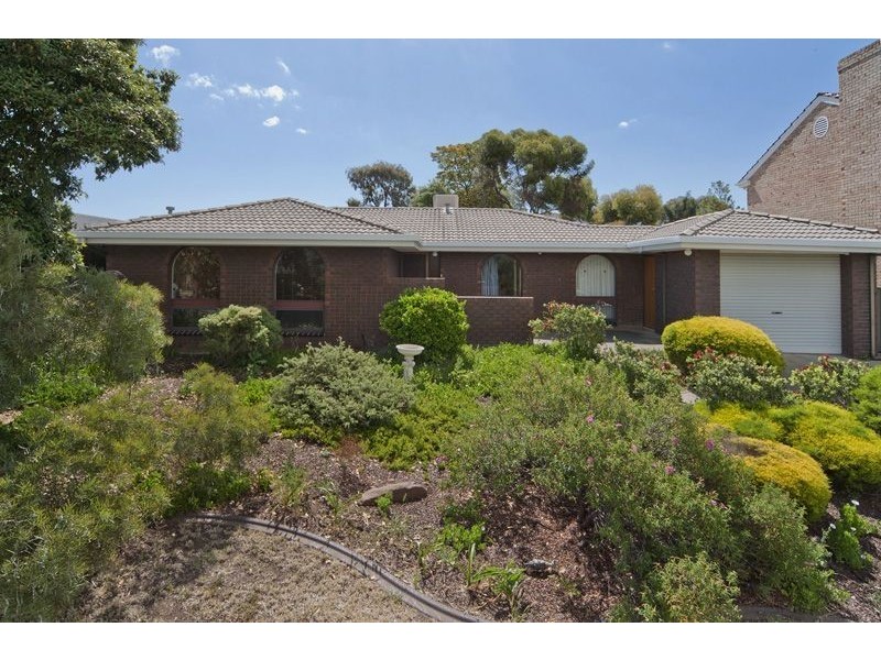 20 Mopoke Street, Modbury Heights SA 5092