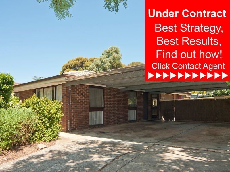 3 Reisling Road, Wynn Vale SA 5127