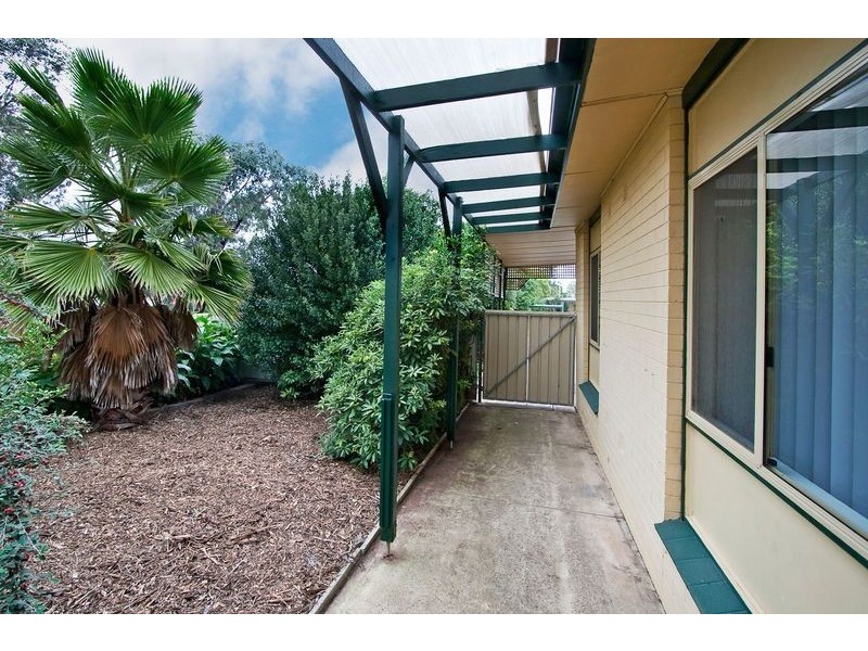 20 Brigalow Avenue, Modbury SA 5092