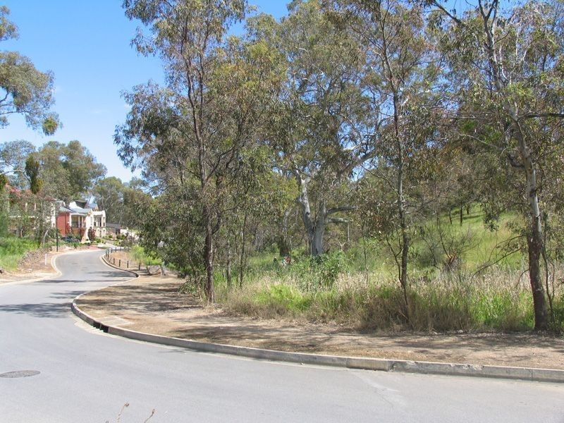 Lot 143 Eastleigh Avenue, Golden Grove SA 5125