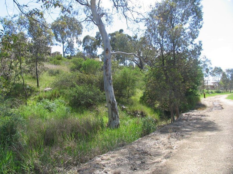 Lot 143 Eastleigh Avenue, Golden Grove SA 5125