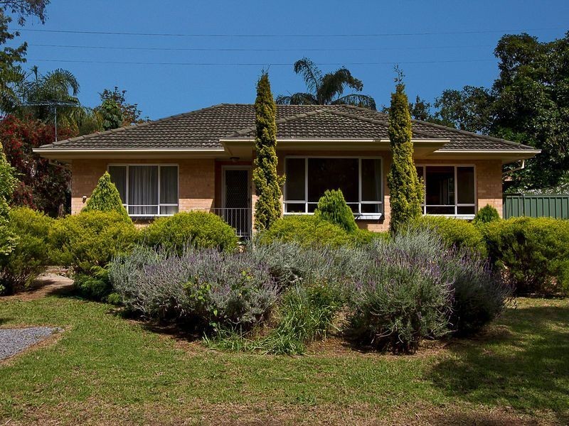 6 Shannon Rise, Banksia Park SA 5091