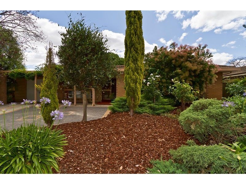 20 Wirilda Ave, Surrey Downs SA 5126