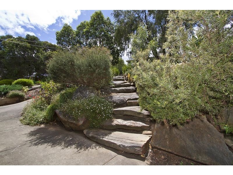18 Musgrave Ave, Banksia Park SA 5091