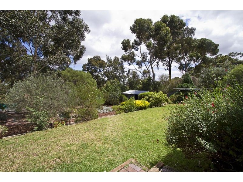 18 Musgrave Ave, Banksia Park SA 5091