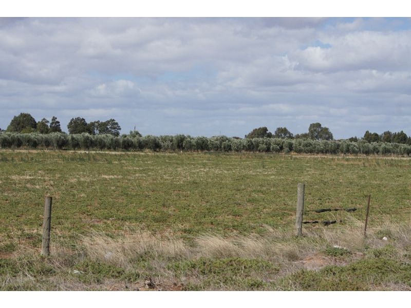 Lot 159 Bailey Road, Two Wells SA 5501