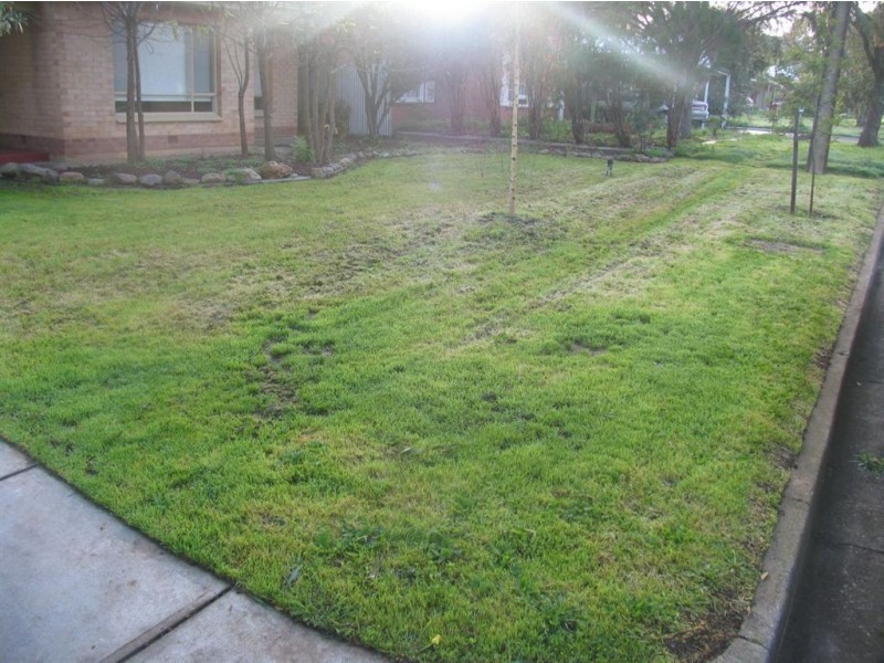 9 Redwood Street, Rostrevor SA 5073