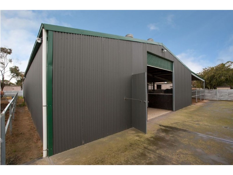 93 Daniel Avenue, Globe Derby Park SA 5110