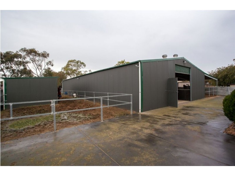 93 Daniel Avenue, Globe Derby Park SA 5110