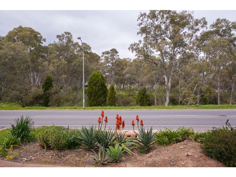 394 Milne Road, Redwood Park SA 5097