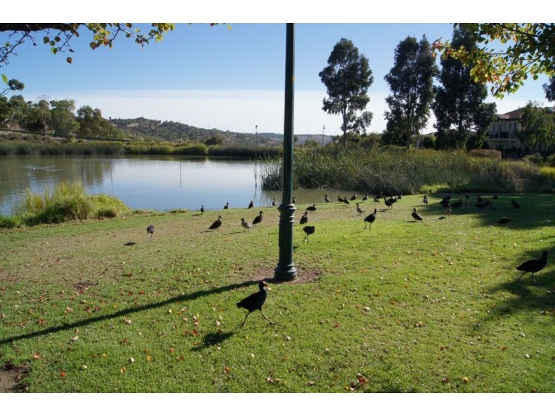 6 Lake Eyre Close, Greenwith SA 5125