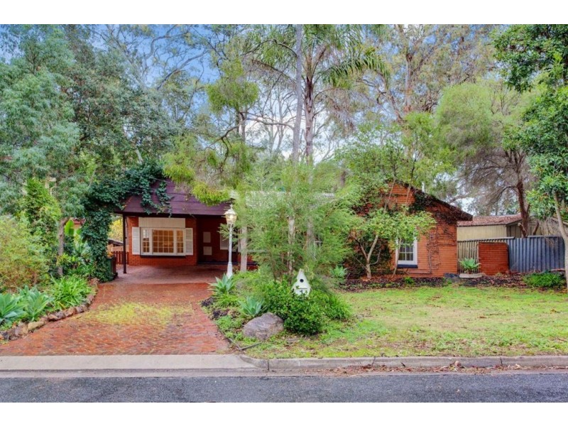 1 Shannon Rise, Banksia Park SA 5091