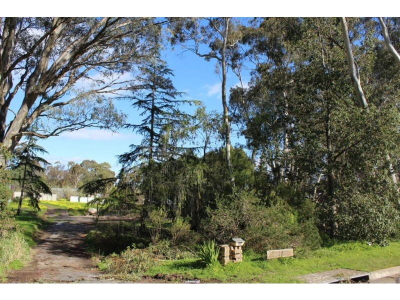 18 Kennedy Street, St Agnes SA 5097