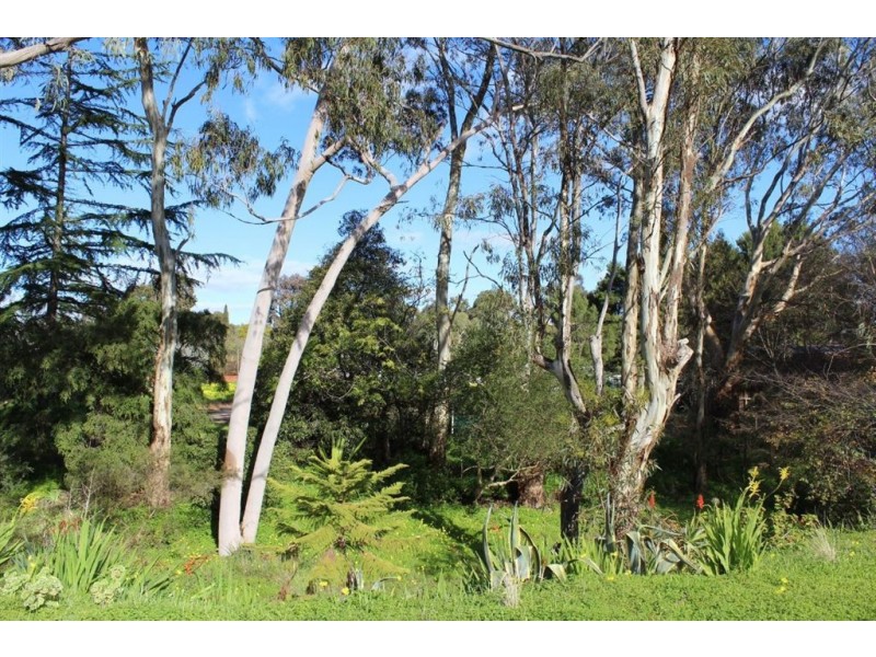 18 Kennedy Street, St Agnes SA 5097