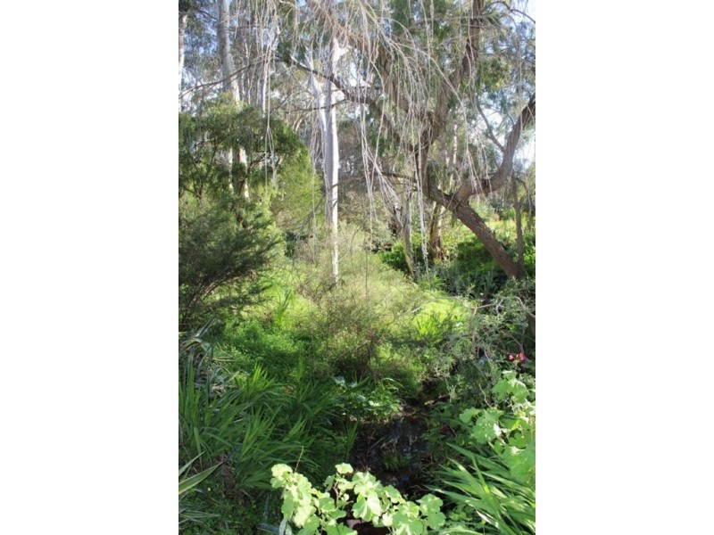 18 Kennedy Street, St Agnes SA 5097