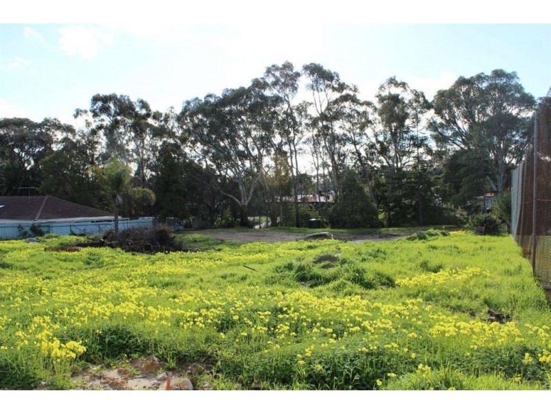 18 Kennedy Street, St Agnes SA 5097