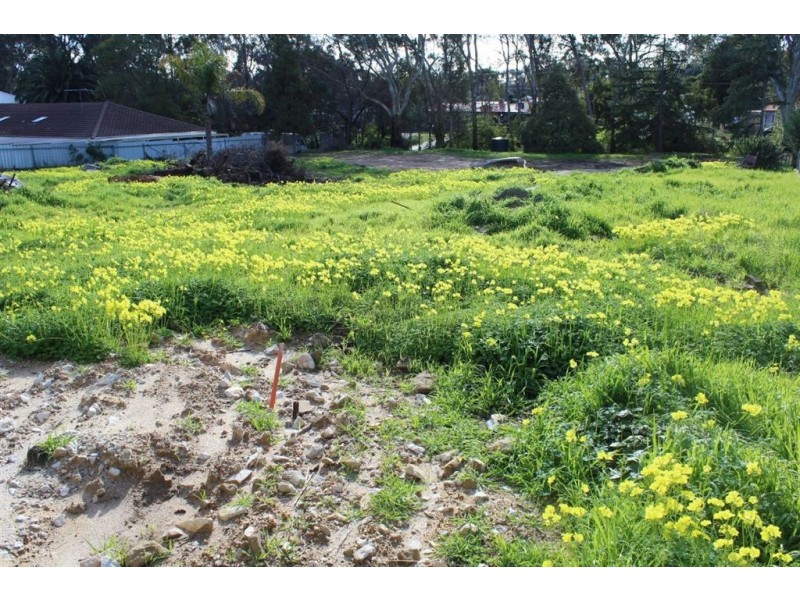 18 Kennedy Street, St Agnes SA 5097