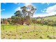 7 (Lt 503) Nalara Place, Salisbury Heights SA 5109
