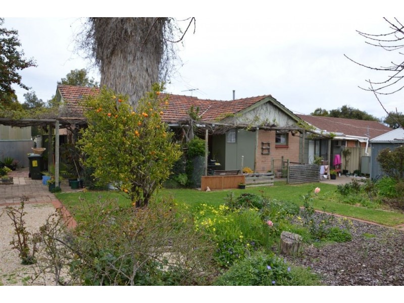 24 Sunburt Street, Ingle Farm SA 5098