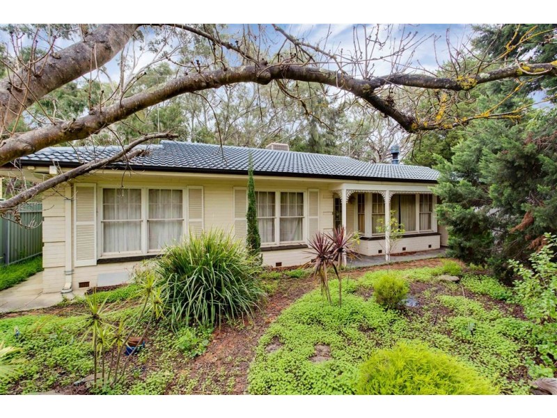 15 Steventon Drive, Banksia Park SA 5091